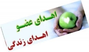 کسانی که نباید حجامت کنند