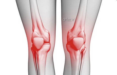 knee-joint